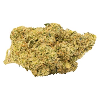 Tweed Tropical Gelato Slushie / 14g / Hybrid