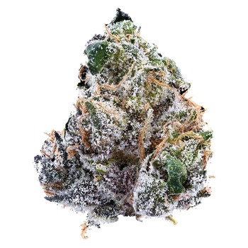 Guava Jam / 7g / Indica