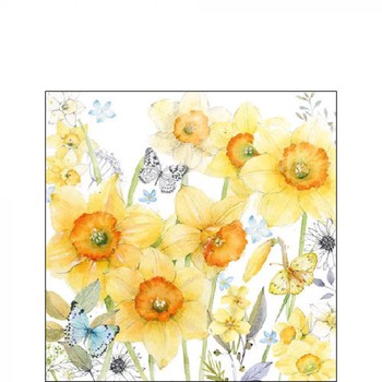 CLASSIC DAFFODILS - COCKTAIL PAPER  NAPKINS