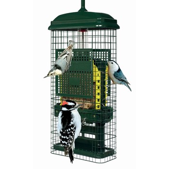 Squirrel Buster Suet Feeder