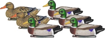 Higdon Standard mallard 6 pack