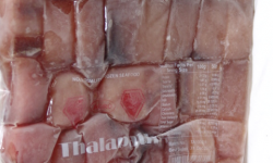 A Frozen Thalapath Fish 500gm