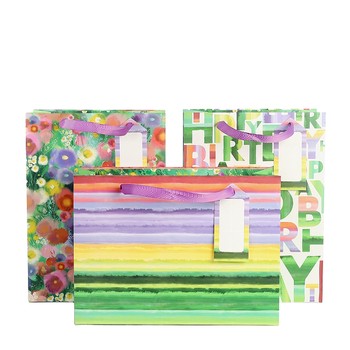 Artebene -Floral Splash Gift Bags Large 206450