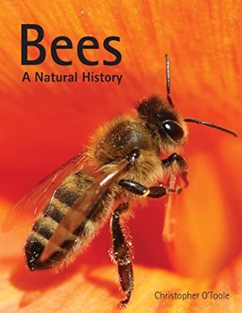 Bees - A Natural History