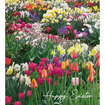 Woodmansterne - Front yard with spring flowers - 618833