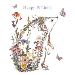 Museums & Galleries - Happy Birthday Cottage Garden Hedgehog