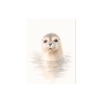 Plek kaartje wit · Zeehond