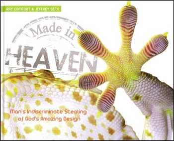 Made in Heaven: Man's Indiscriminate Stealing of God's Amazing Design