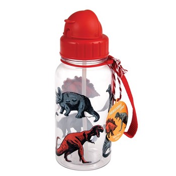 PREHISTORIC LAND 500ML WATER BOTTLE