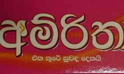 Amirtha Incense Sticks Purple Two in One  Floral 30g