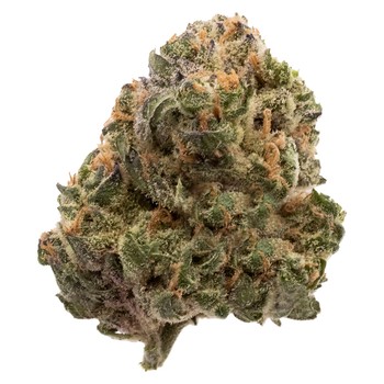 Garlic Truffle / 3.5g / Indica