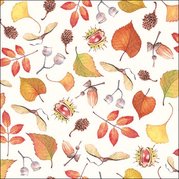 AUTUMN DETAILS PAPER NAPKINS