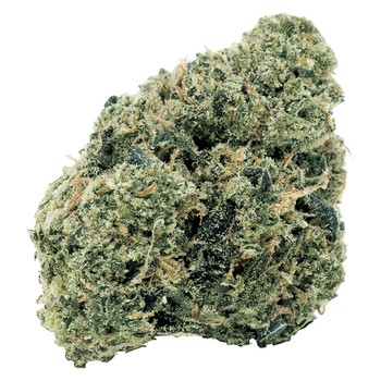 Northern OG Kush / 7g / Hybrid