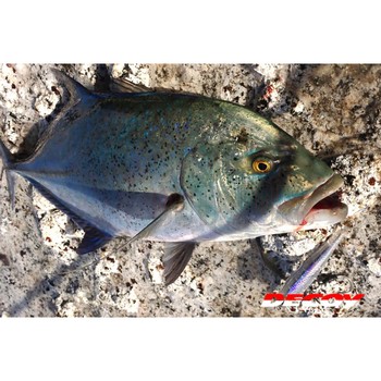 Decoy Pluggin Jack Single Hook
