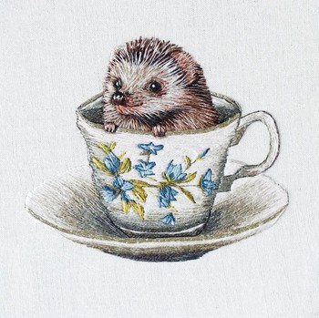 Museums & Galleries Baby Hedgehog CRH623