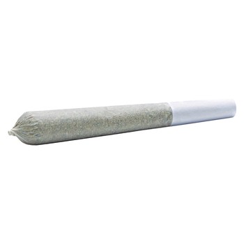 Foxy Haze Face (Pre-Roll) / 3g / Pre-Roll Packs (10) / Sativa
