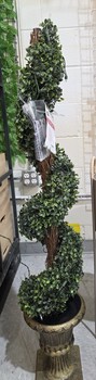 4' Potted Pre-Lit Boxwood Spiral Tree