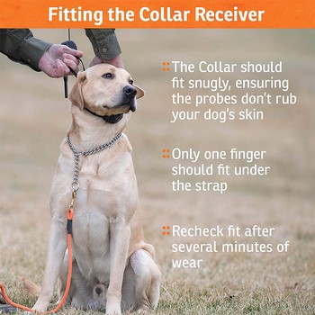 SportDOG NoBark SBC-8 Collar