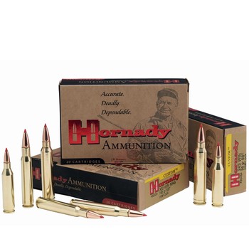 Hornady 300 Blackout 135gr FTX Ammo