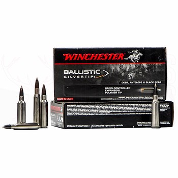 Winchester Ballistic Silvertip 7mm Rem Mag 140gr