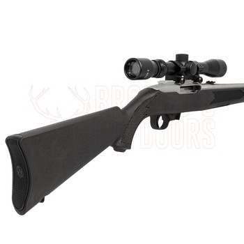 Ruger 10/22 Synthetic Stainless .22 LR + 3-9x32 Scope + Suppressor