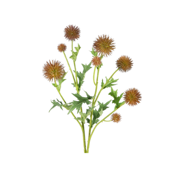 Thistle sphere