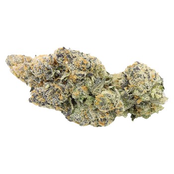 Sitka Legends White Hot Guava - 7g