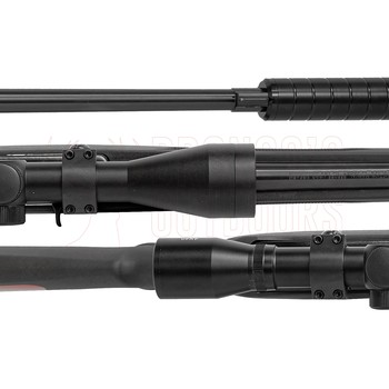 Ruger 10/22 Blued Synthetic .22 LR Rifle + 4x40 Scope + Suppressor