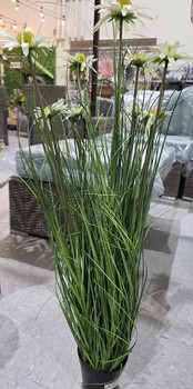 Sm Potted Wild Grass and Daisies
