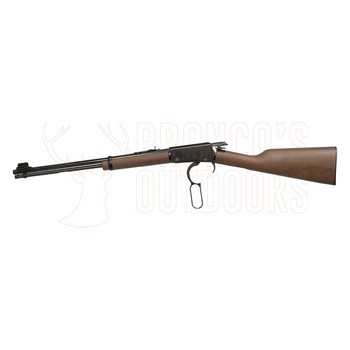 Henry H001M .22 Mag