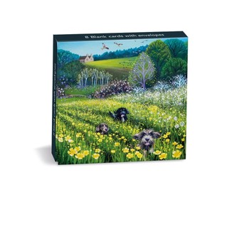 Museums & Galleries - Field of Dreams 8 Notecards - ERJ116-