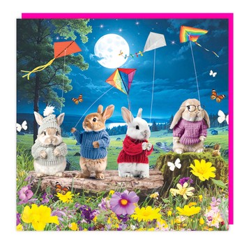 Tracks - Series D 3D - Blank - 4 Bunnies - C3573