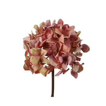 Hortensia roze