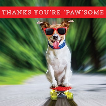 Ling Design - Jack Russell On Skateboard Card (D)