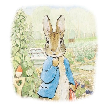 Museums & Galleries - Peter Rabbit in the Garden Greeting Card - KWH047-