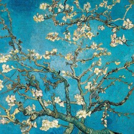 Museums & Galleries - Almond Branches in Bloom - 254418-KZH