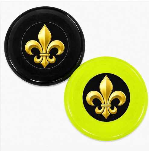 NY1475 - BG FDL Frisbee