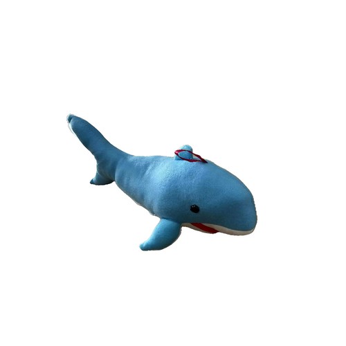 PA0017N - Small Blue Shark