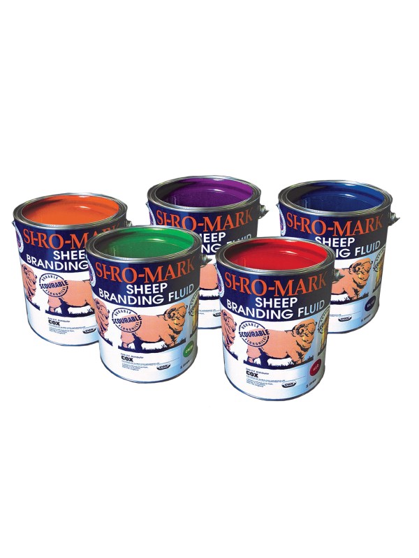 Paints