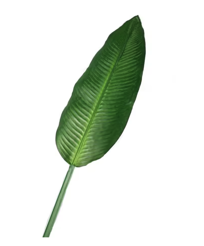 Leaf