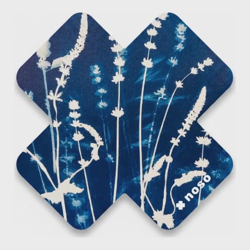 NoSo Wildflower X, front view