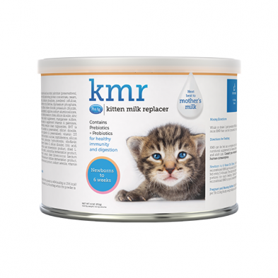 Kitten