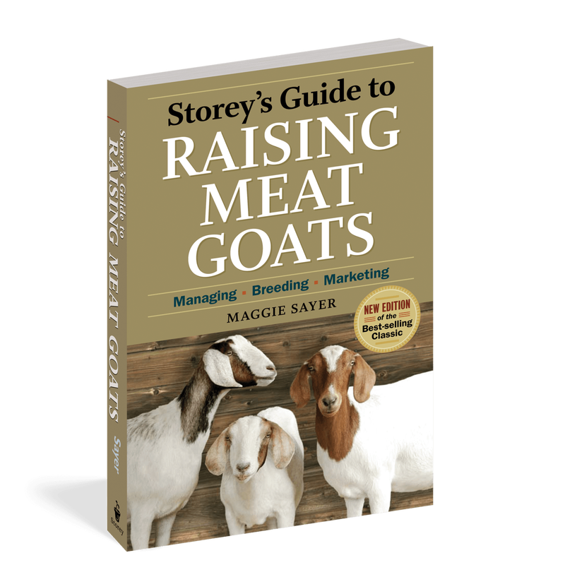 Goat Feeding and Care