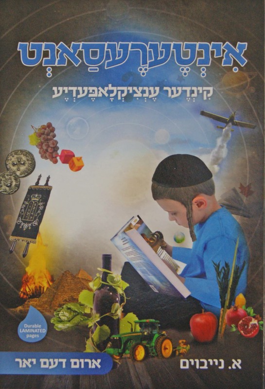 ספרים אין יידיש