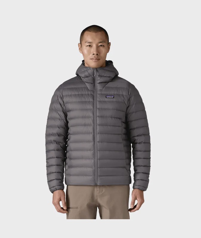 Patagonia Men's Down Sweater Hoody, alternate view 2