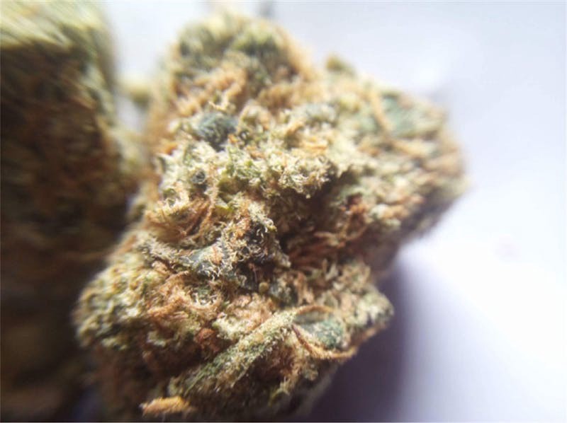 THCA 3.5 Han Solo