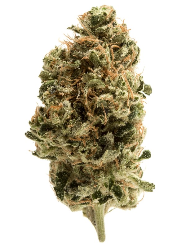 THCA Indica 3.5 G Rainbow Inferno