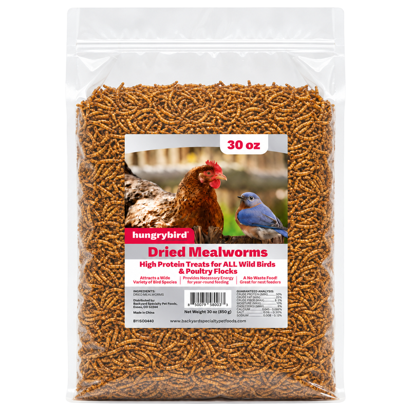 Hungrybird Dried Mealworms 30 oz resealable bag with chicken and bluebird label