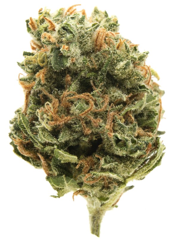 THCA Indica 3.5G Double Stuffed Oreoz