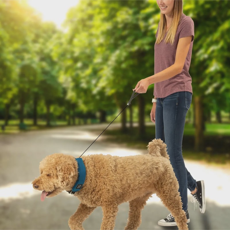 Nite Ize RadDog All-In-One Collar, alternate view 1